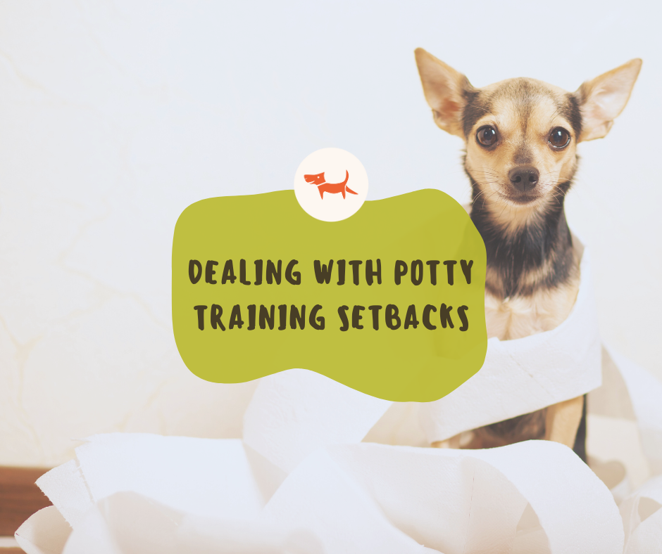 Dealing with Potty Training Setbacks