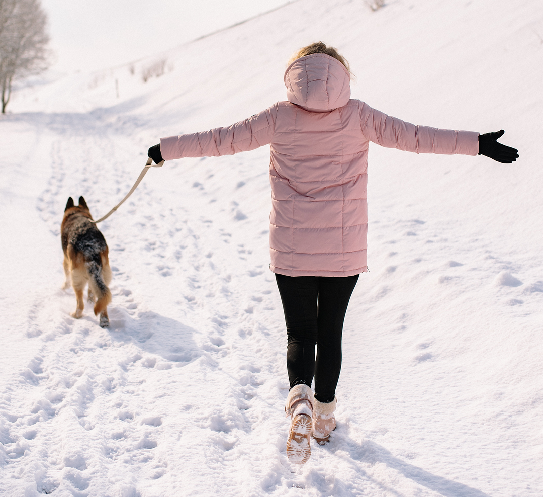 8 Fun Activities to Keep You and Your Dog from Getting Bored This Winter