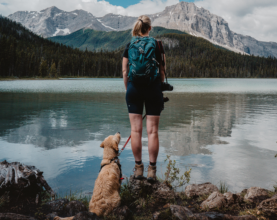 What To Do with Dog Poo While Backpacking? Leave No Trace!