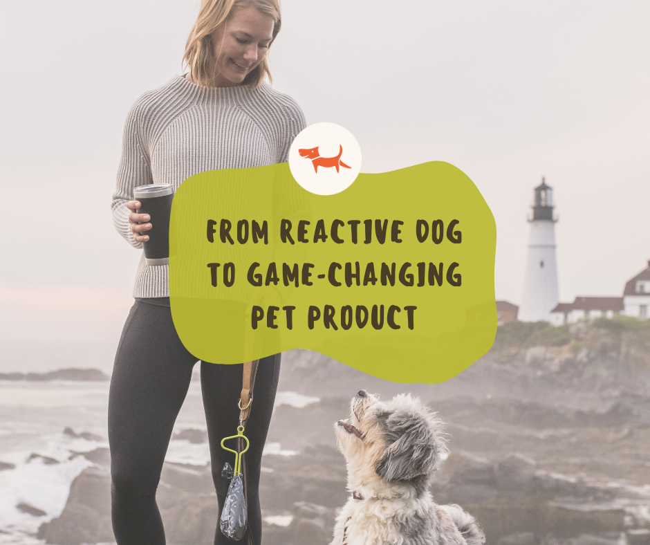 From Reactive Dog to a Game-Changing Product: The Journey of the Dooloop