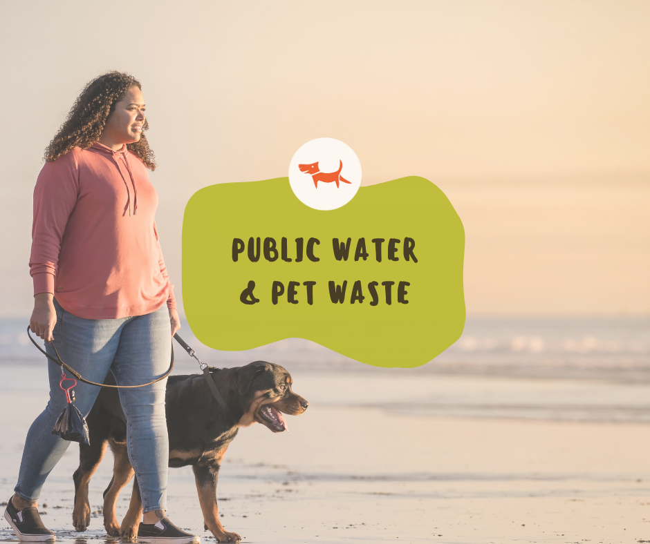 Public water & pet waste... What are we "doo"ing?