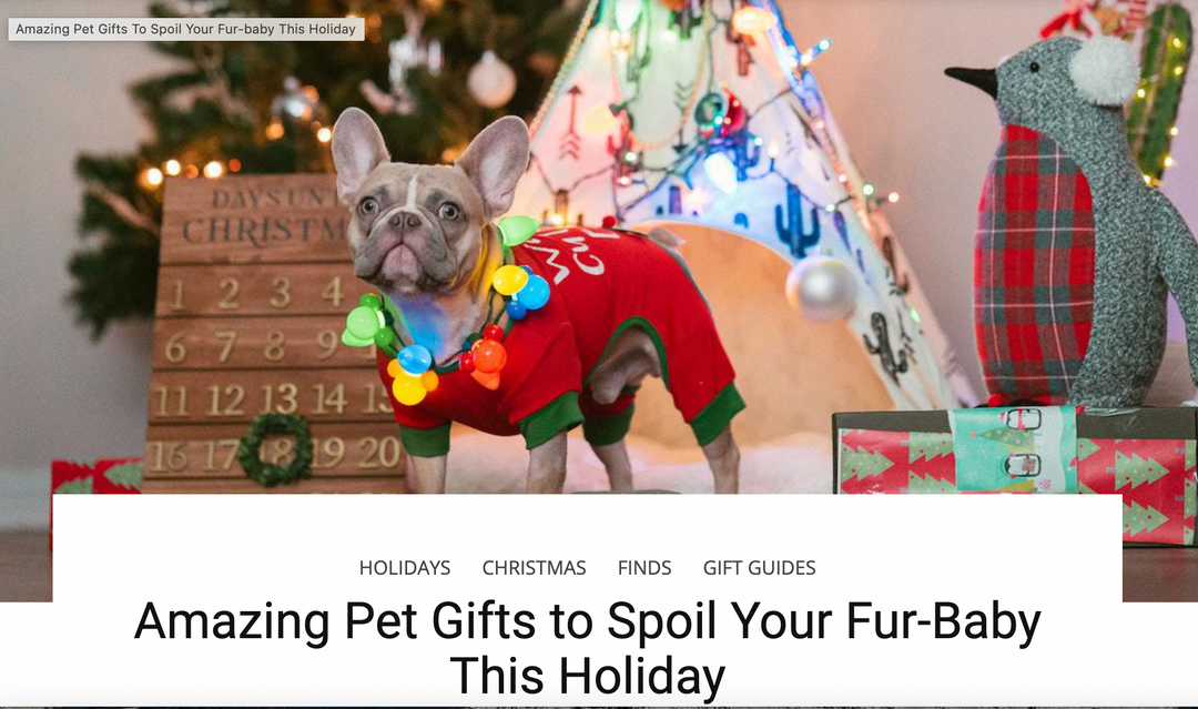 Amazing Pet Gifts (that take care of the pet parent!)