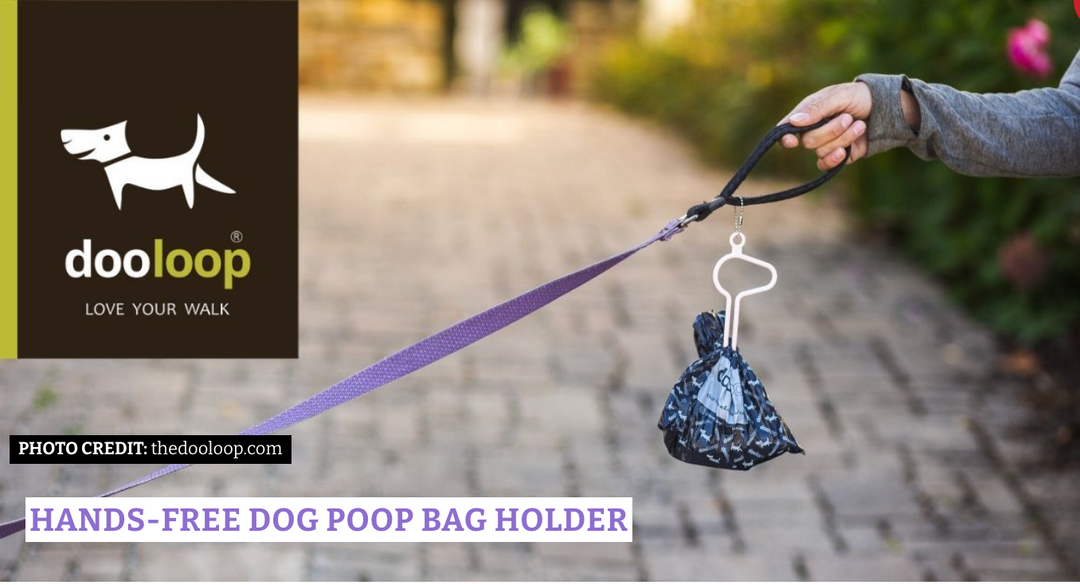 Holiday or Any Day Every Dog Owner Needs A dooloop