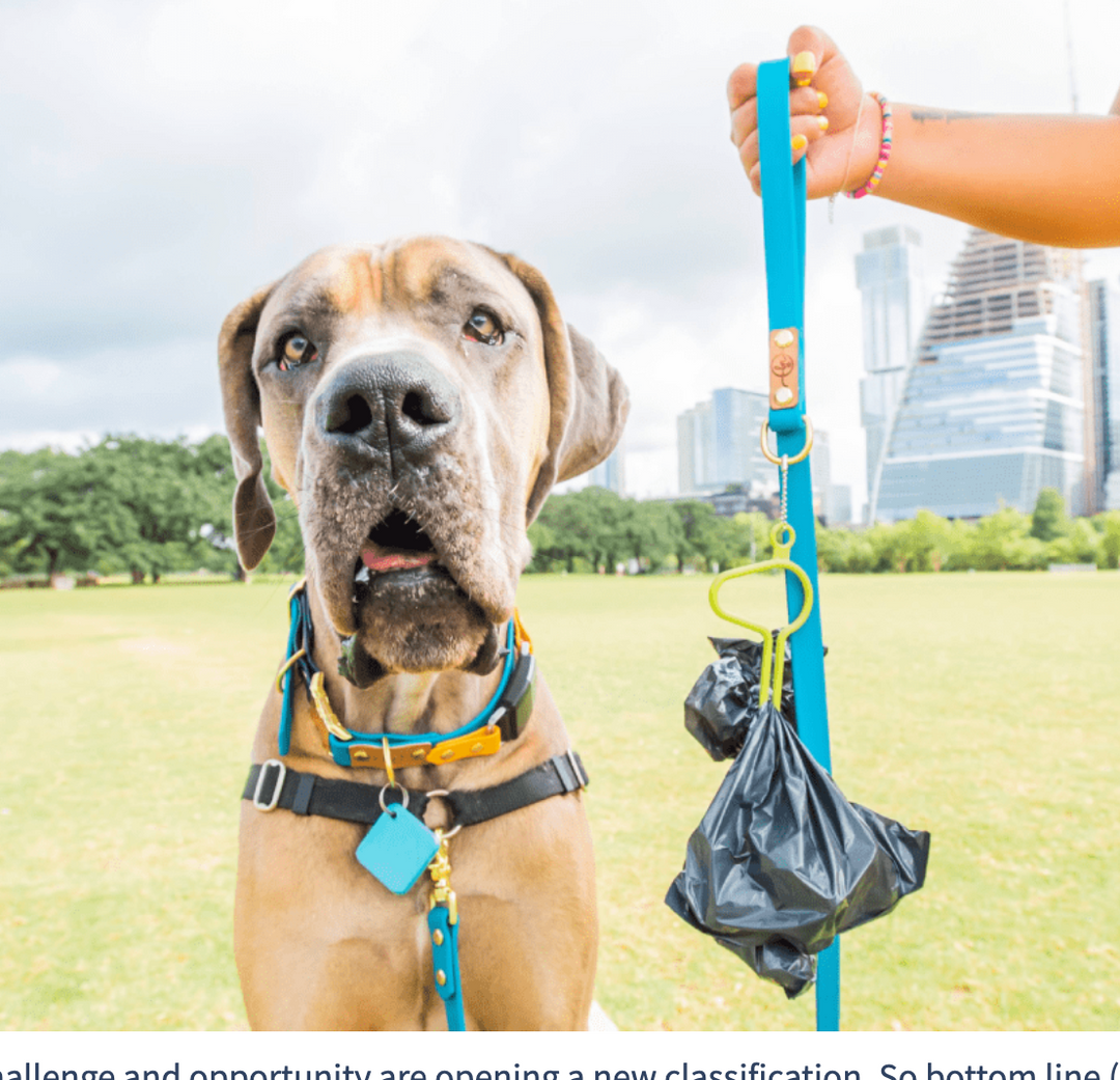  Hands-Free Dog Poop Bag Holder