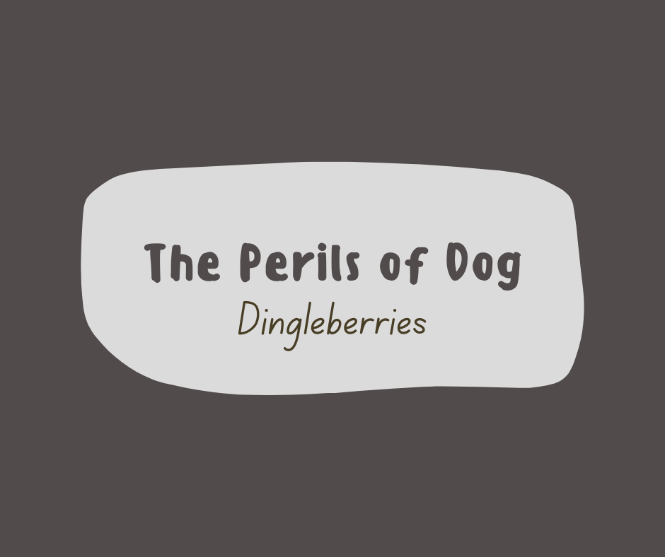 The Perils of Dingleberries